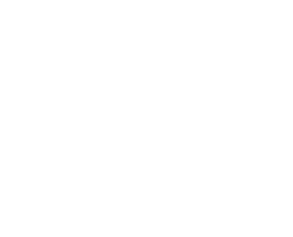 Logo Selectoauto